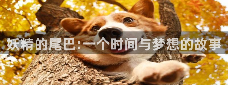 羞羞漫画全彩无遮挡：妖精的尾巴:一个时间与梦想的故事