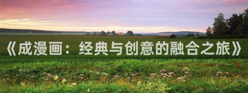 羞羞漫画wwwwwww：《成漫画：经典与创意的融合之旅》