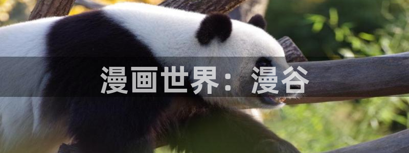 羞羞漫画 韩漫：漫画世界：漫谷